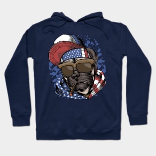 Pug dog USA Hoodie